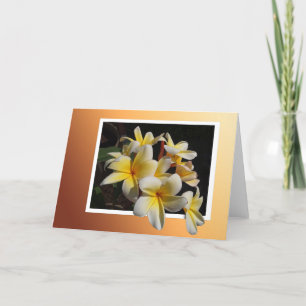 Framed Pulmeria Card