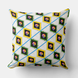 Framed Rainbow Colours Cushion