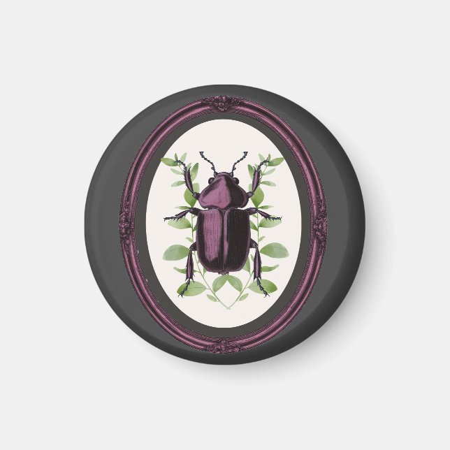 Framed Stag Beetle Magnet (Front)