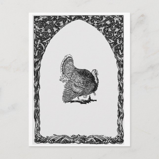 Framed Turkey Postcard (Front)