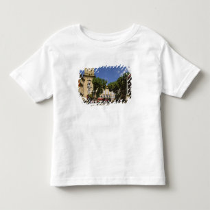 France, Aix en Provence, La Place de la Maire Toddler T-Shirt