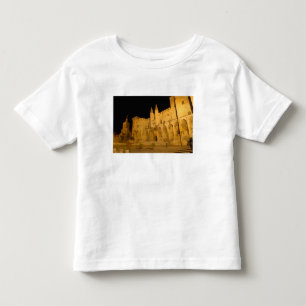 France, Avignon, Provence, Papal Palace at night Toddler T-Shirt