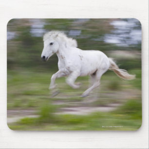 France, Bouches du Rhone, Natural Regional Park 2 Mouse Pad