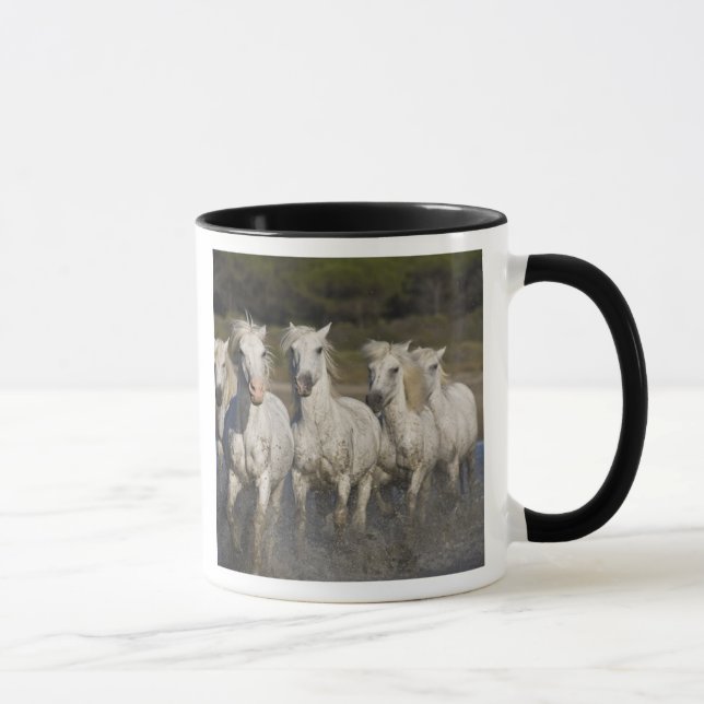 France, Camargue. Horses run Mug (Right)