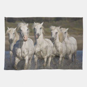 France, Camargue. Horses run Tea Towel