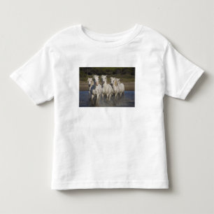 France, Camargue. Horses run Toddler T-Shirt