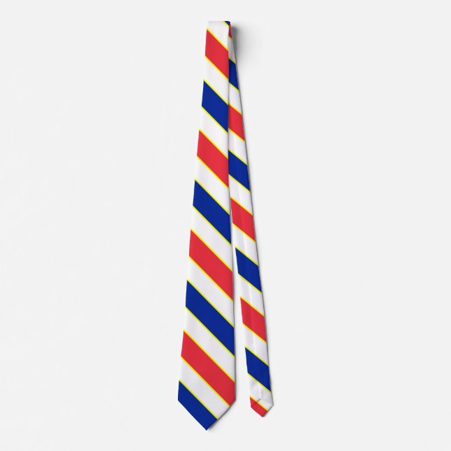 France Flag Colours Elegant Patriotic Neck Tie (Front)
