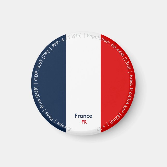 France Flag Magnet (Front)