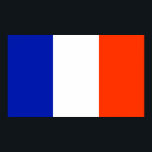 france flag poster<br><div class="desc"></div>
