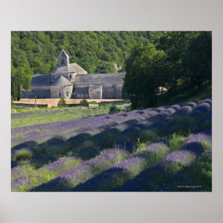 France, Gordes, Senaque Abbey, lavender field Poster