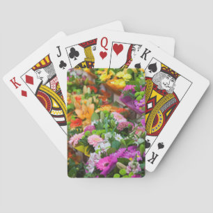 France, Nord, French Flanders, Lille, Wazemmes Playing Cards