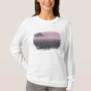 FRANCE, Normandy Mont St. Michel. Morning Mist T-Shirt