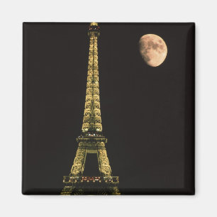France, Paris. Eiffel Tower at night with Magnet