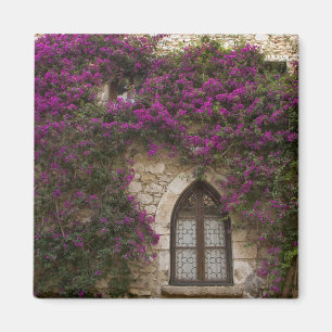France, Provence, Eze. Bright pink Magnet