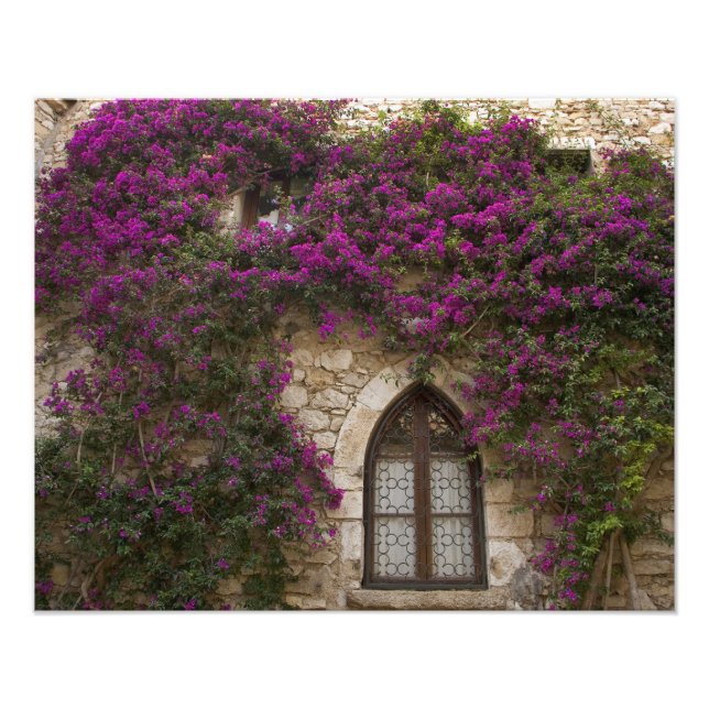 France, Provence, Eze. Bright pink Photo Print (Front)