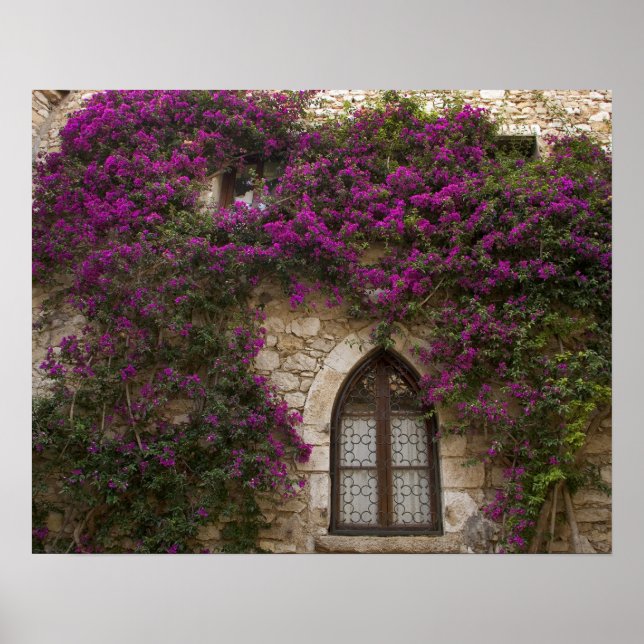 France, Provence, Eze. Bright pink Poster (Front)