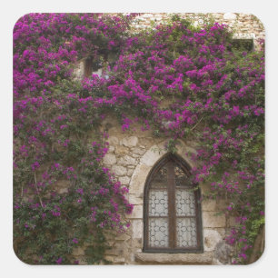 France, Provence, Eze. Bright pink Square Sticker