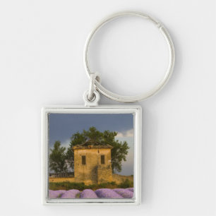 France, Provence. Field of lavender and Key Ring