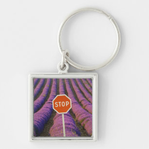 France, Provence. Rows of lavender and stop Key Ring