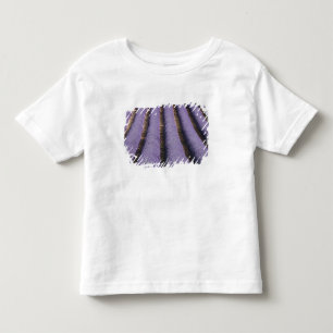 France, Provence. Rows of lavender in bloom. 2 Toddler T-Shirt
