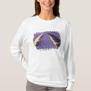 France, Provence. Rows of lavender in bloom. 3 T-Shirt
