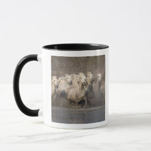 France, Provence. White Camargue horses running Mug
