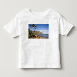 France, Reunion Island, St-Denis, view of La Toddler T-Shirt