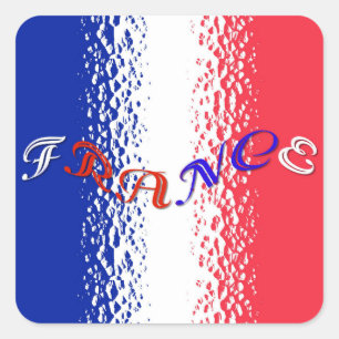 France Square Sticker