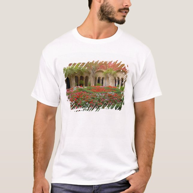 France, St. Remy de Provence, cloisters at 3 T-Shirt (Front)