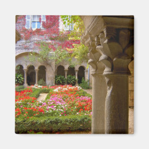 France, St. Remy de Provence, cloisters at Magnet