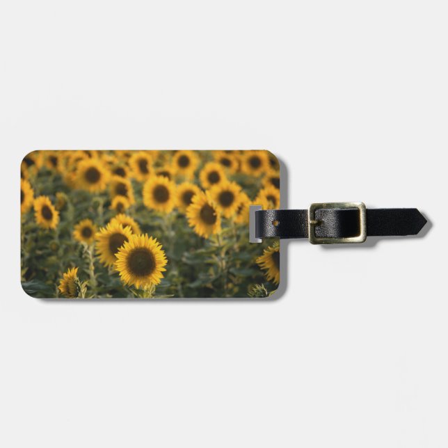 France, Vaucluse, sunflowers field Luggage Tag (Front Horizontal)