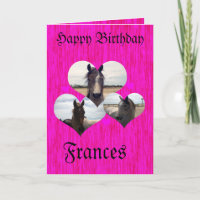 Frances, Happy Birthday Arab Horse Card,