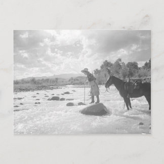 Frances Phelps Belden fly fishing in the river Postcard