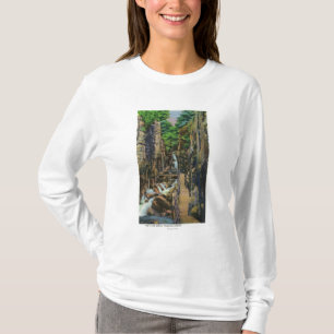 Franconia Notch State Park 2 T-Shirt