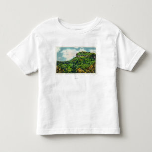 Franconia Notch State Park View of Indian Head Toddler T-Shirt