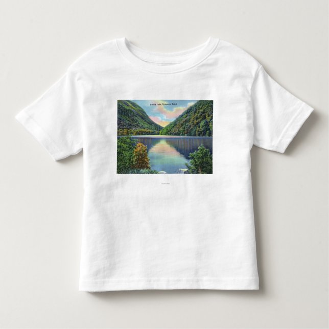 Franconia Notch View of Profile Lake Toddler T-Shirt (Front)
