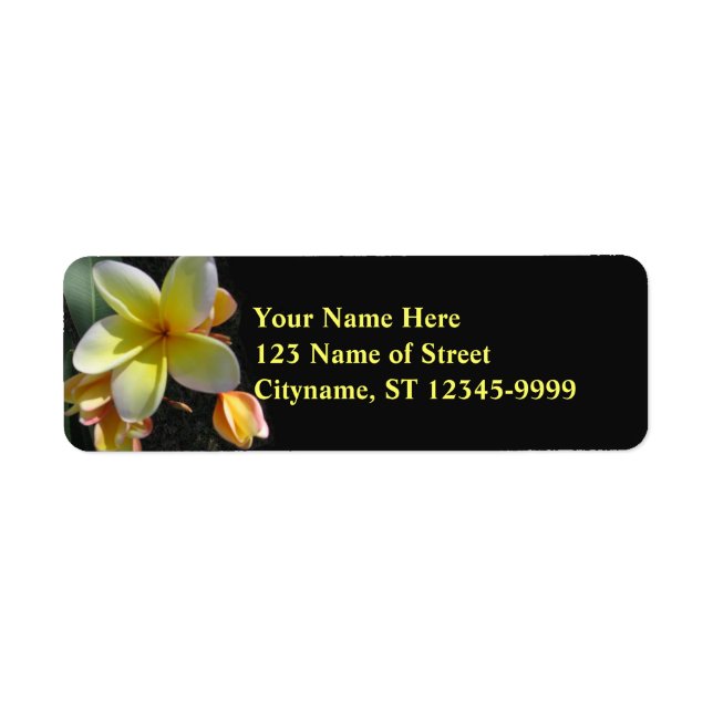 Frangipani (Front)