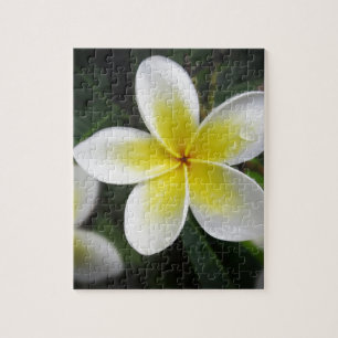 Frangipani And Raindrops Puzzle