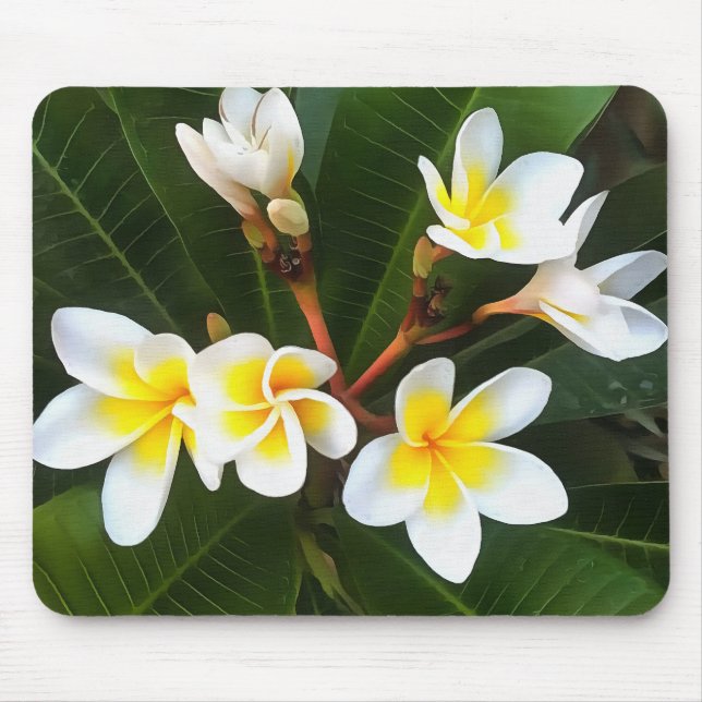 Frangipani Blossom Cluster Artistic Style Mouse Pad (Front)