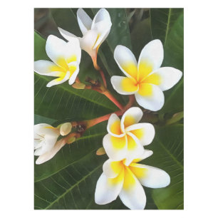 Frangipani Blossom Cluster Artistic Style Tablecloth