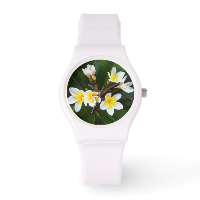 Frangipani Blossom Cluster Artistic Style Watch (Front)