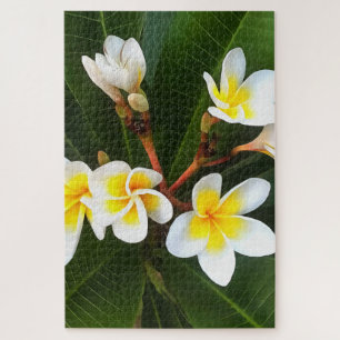 Frangipani Blossom Cluster Jigsaw Puzzle