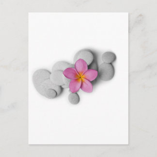 Frangipani Calm Postcard