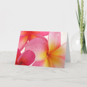 Frangipani Card
