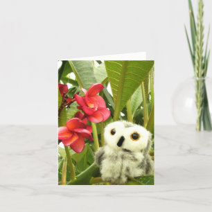 Frangipani Card