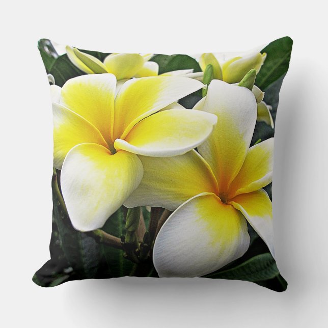 Frangipani Cushion (Front)