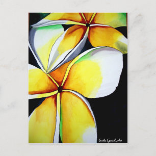 Frangipani flower art postcard