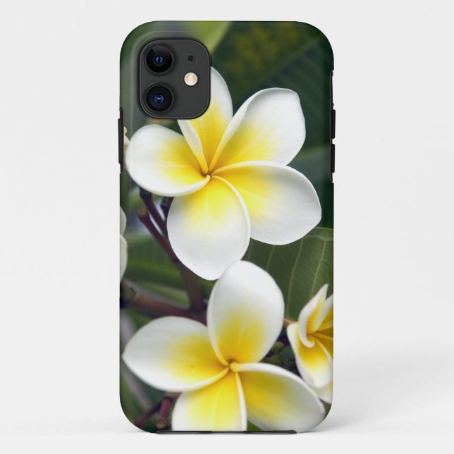Frangipani flower Cook Islands Case-Mate iPhone Case (Back)