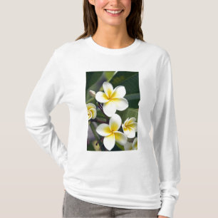 Frangipani flower Cook Islands T-Shirt