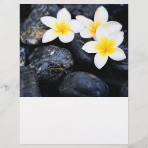 Frangipani flowers flyer